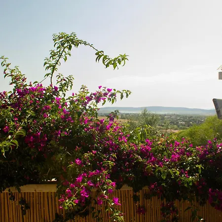 펜션 Il Lentischio
